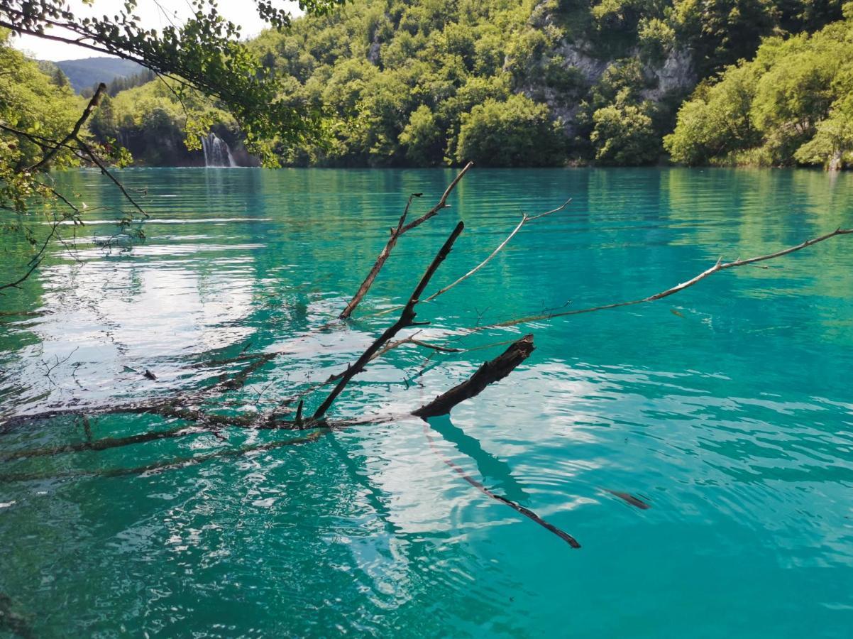 Green Garden Plitvice Lakes Plitvica selo Eksteriør billede
